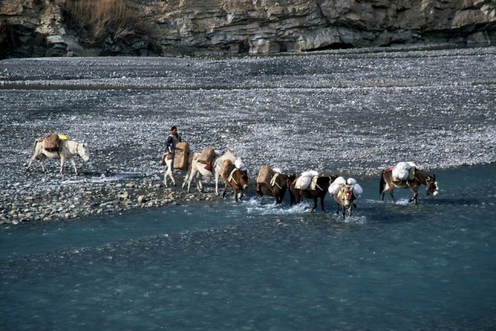 http://www.mariaboucaouri.com/files/gimgs/th-62_000146_v2.jpg